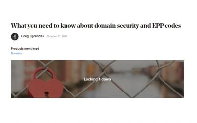 How to keep your Domain Safe