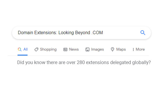 Domain Extensions: Looking Beyond .COM