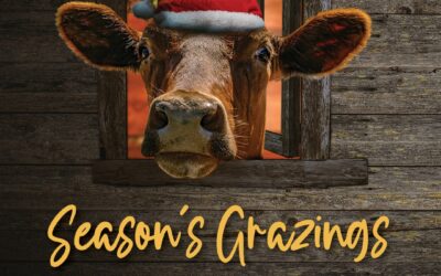 Season’s Grazings ~ 12 Days of Merry Marketing Tips